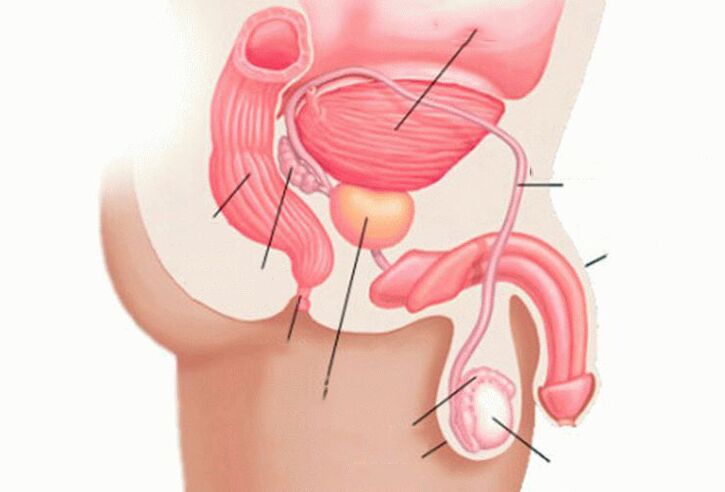 Yangi Chara porno Onanizm haqida veb-kamera video